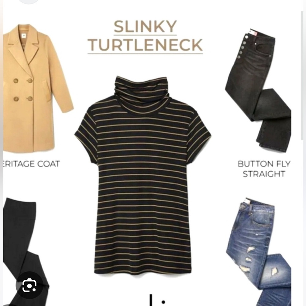 Cabi 4202 slinky turtleneck